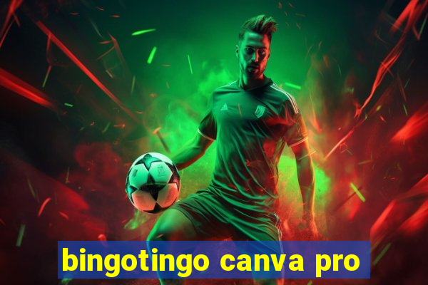 bingotingo canva pro